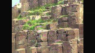 Giants Causeway  Rocks in the Field 19 [upl. by Auhs617]