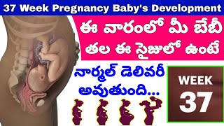 గర్భం 37వ వారం  37th Week of Pregnancy Symptoms Changes amp Baby Development  37th Week of Pregnancy [upl. by Neelsaj760]