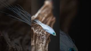 This BAITFISH FLY is an absolute FISH MAGNET flytying flyfishing tutorial [upl. by Oilegor]