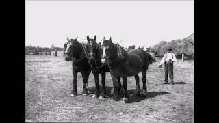 The Ploughboys Dream [upl. by Johannah]