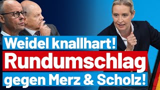 Merz stinksauer Alice Weidel rechnet knallhart mit der CDU ab  AfDFraktion im Bundestag [upl. by Aninep910]