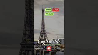 Learn Irregular Nouns in 1 Minute IrregularNouns LearnEnglish GrammarTips english [upl. by Oswell]