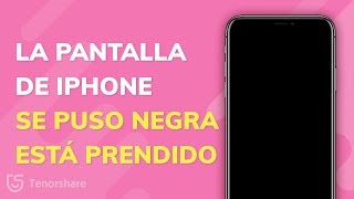 ¡3 Soluciones GRATUITAS Para Cuando Tu iPhone Está Encendido pero su Pantalla Permanece Negra [upl. by Darrelle]