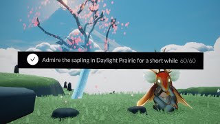 🌸 Admire the Sapling in the Daylight Prairie for a Short While  New Quest  SkyCotL  nastymold [upl. by Eetnahs]