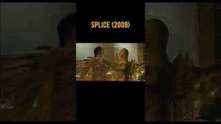 SPLICE 2009 ❤️Scene 56 movie movieclips shorts [upl. by Yltnerb138]