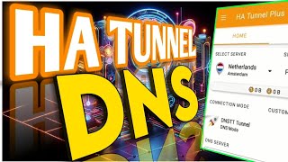 How to Set Up HA Tunnel DNS Settings [upl. by Sarene]