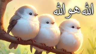 Animated Naat For Kids  Allah Hu Allah  Naat For Children [upl. by Dloraj]