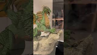 Four Horsemen Studios Mythic Legions Dragon at Legions Con 24 [upl. by Thelma]