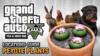 GTA 5  Peyote Plants Location Guide Play as an Animal [upl. by Frendel89]