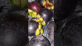 Mangosteen asmr food satisfayingsounds asmrsounds foodie asmrvideo [upl. by Oberg]