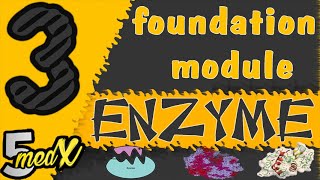 foundation module  Enzyme lecture 3 [upl. by Arolf547]