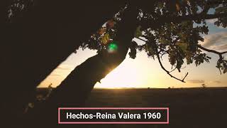 La Biblia HabladaHechos Completo Reina Valera 1960 [upl. by Ellehsem]