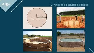 Agrotins 2020Palestra Sisteminha Embrapa Alternativa para segurança alimentar em tempos de COVID 19 [upl. by Aimahc273]