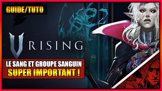 GUIDETUTO  LIMPORTANCE DU SANG ET DU GROUPE SANGUIN SUR V RISING  FR [upl. by Niels]