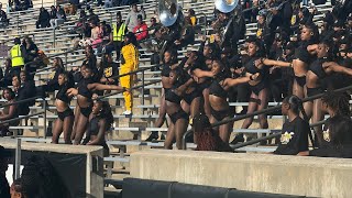 ASU Sensational Stingettes Vs PVAMU [upl. by Windham]