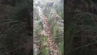 Film 2 Balkan Mountains Ep 28  The trip to Eho hut Mountain nature in Bulgaria [upl. by Oirad]