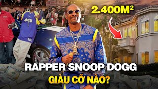 SNOOP DOGG GIÀU CỠ NÀO  ÔNG TRÙM SÀ CÂN RAPPER GIÀU NHẤT THẾ GIỚI [upl. by Eenej22]