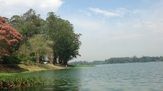 Caminho até a ilha do sabiá  Local para pesca de tilápia [upl. by Carmine]