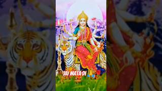 Shera baliye maa 🌹🙏 newsong love [upl. by Ytirahs]