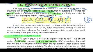 Mechanism of Enzyme Action 11th Biology enzymes substrate biology complex cell [upl. by Doig59]