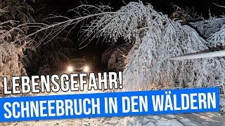 Lebensgefahr Feuerwehr warnt vor Schneebruch [upl. by Frantz844]