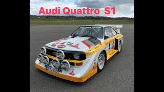 Niki Schelle im Audi Quattro S1  5 Zylinder Sound pur  Gruppe B Rallyefeeling [upl. by Trevorr587]