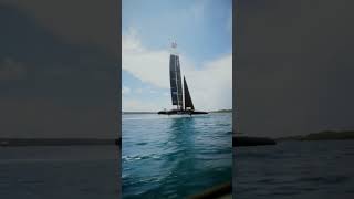 Testing out the new Tfoils 🥵 sailgp [upl. by Allina]