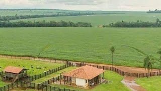 FAZENDA A VENDA NO PARÁ NA REGIÃO DE MARABÁ [upl. by Notsud216]