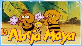 La Abeja Maya 🐝 50 minutos  Episodios completos 14 [upl. by Tillion576]