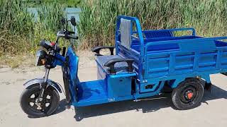 Three Wheel Electric Truck Trike Cargo Vehicle In Black Color [upl. by Ahsiekam]