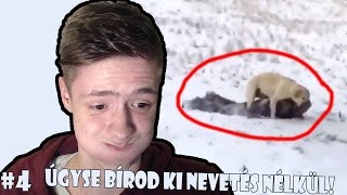 Úgyse bírod ki nevetés nélkül  Try Not To Laugh 4 [upl. by Mosra951]