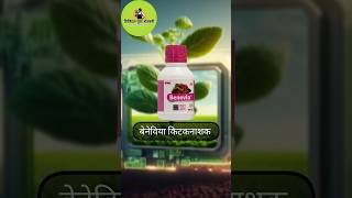 Benevia insecticide Dupont  Benevia insecticide uses shorts ytshorts farming [upl. by Alathia]