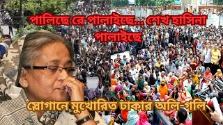 পালিছে রে পালাইছে শেখ হাসিনা পালাইছে  স্লোগানে মুখোরিত ঢাকার অলিগলি  Gonovobon  NewsViews [upl. by Oab376]