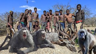 BABOON HUNT with the Hadzabe Tribe [upl. by Eema]