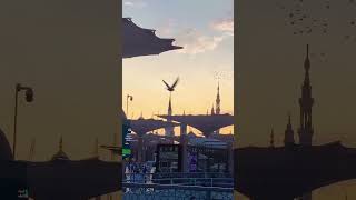 Humko Bola Lo Aaqa❤️ madinah  islamicquotes youtubeshorts shortvideo madinah islamic [upl. by Attenwad]