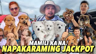 JACKPOT HALOS LAHAT  GROTTO PET MARKET UPDATE  OCTOBER 27 2024 [upl. by Lasser]