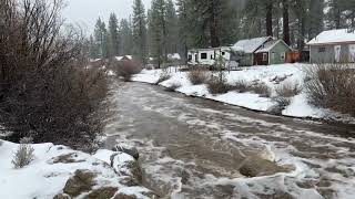 Grout Creek in Fawnskin Ca  Heavy Rains bring in more water 💧 [upl. by Peria]