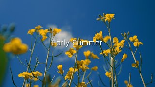 ♪ Early Summer ♪  Chill Relaxing Music  No Copyright Music  BGM  저작권 없는 음악  평화로운 칠링 음악  브금 [upl. by Tristan]