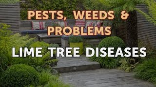 Lime Tree Diseases [upl. by Cullin621]