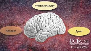 The Distracted Mind  19th Distinguished Lecture on Brain Learning and Memory  Dr Adam Gazzaley [upl. by Imotas]