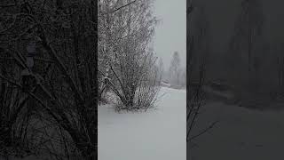 First Snow in Northern Sweden [upl. by Franny]