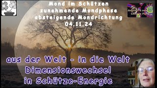 SchützeEnergie  Dimensionswechsel ganz privat  aus der einen Welt in die andere und zurück [upl. by Nylsirhc912]