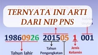 CPNS WAJIB TAU ARTI DIBALIK ANGKA NIP PNS NOMOR INDUK PEGAWAI [upl. by Kippar396]