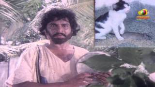 Chattaniki Kallu Levu Movie Songs  Chattaniki Kallu Levu Song  Chiranjeevi Madhavi Lakshmi [upl. by Dicks]