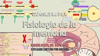 CAP 58 55 Fisiología de la memoria [upl. by Ahsimit]