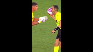 VAR NÃO CHAMOU JOGADORES DO INTER PEDEM PÊNALTI  INTERNACIONAL X FLAMENGO  shorts  geglobo [upl. by Cannon]