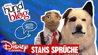 HUND MIT BLOG  Stans Sprüche  Disney Channel App 📱 [upl. by Lukasz384]