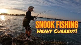 Sebastian Inlet SNOOK fishing FUN [upl. by Assenad676]