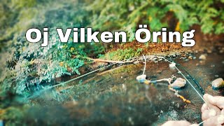 Oj Vilken Öring [upl. by Rahel]