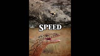 Monitor Lizard vs Komodo Dragon vs edit reptiles komodo monitorlizard [upl. by Mika]